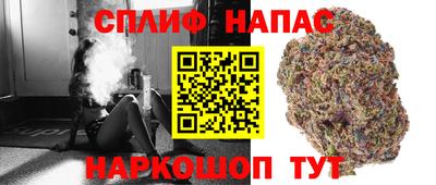 спайс Обь