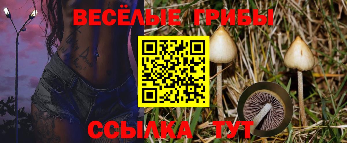 ГАШ Санкт-Петербург